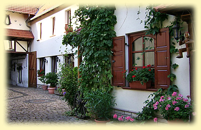 Feier-Scheier in Gabsheim, Rheinhessen - Hof und Wohngebäude